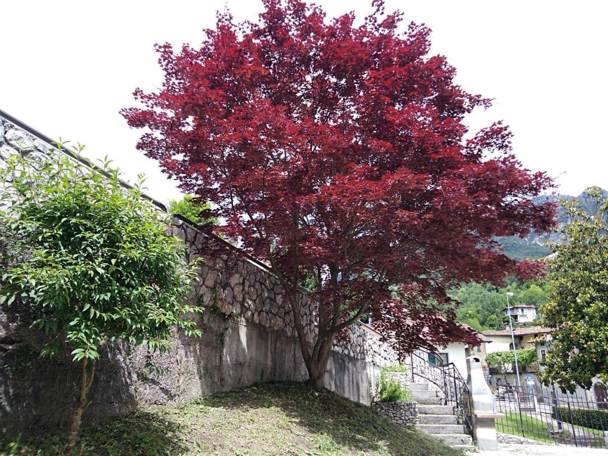 B&B L'Acero Casto 外观 照片